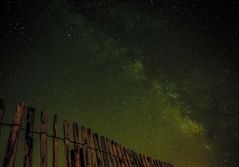 Fynbos Suite at Salt & Stone