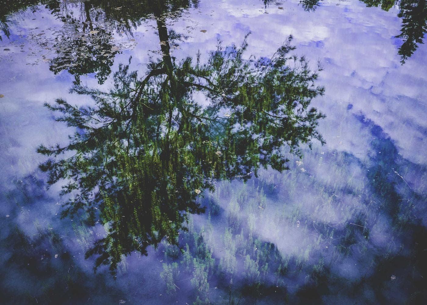 Salt & Stone Guest Lodge — West Coast landscape