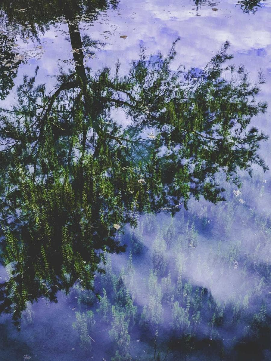 Salt & Stone Guest Lodge — West Coast