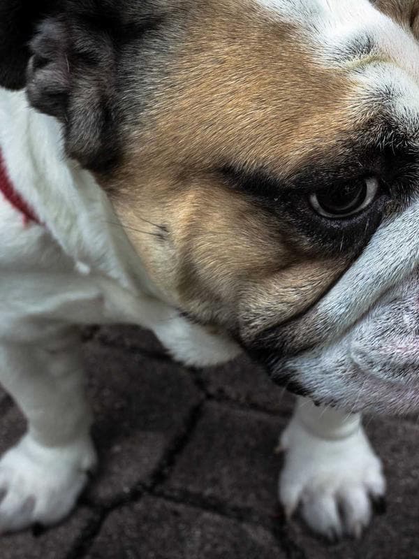 View over Langebaan Lagoon
