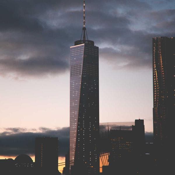 Wild fynbos on the lodge grounds