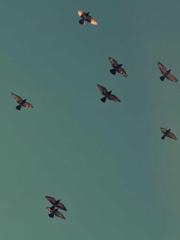 Coastal King room interior